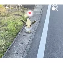 立華 碧