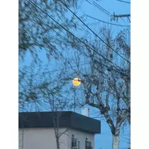 結城 かなの