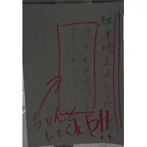 七星 夏純