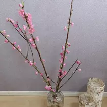 七海 結愛