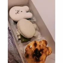 紫音