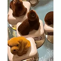 緑 四葉