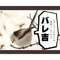 ひな