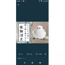 ひな