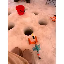 神崎 蘭