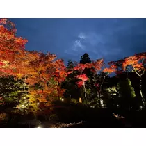 りか