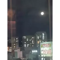 ゆき