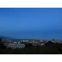ミユ