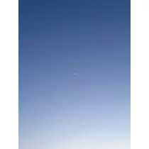 モエ