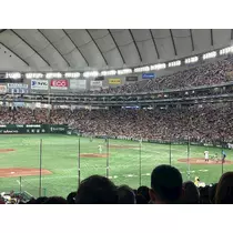 かびるんるんさわ