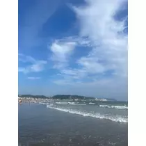 ティラノまな