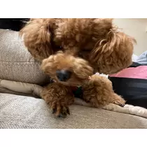 あいりちゃん