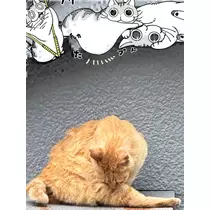まり