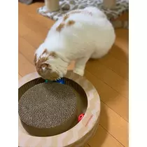 れみ
