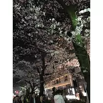 みな