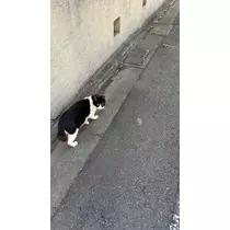 そら