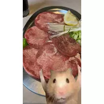 七星 夏純