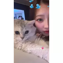 七星 舞冬