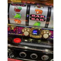 七星 夏純