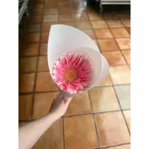 ましろ