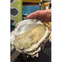 ナミ