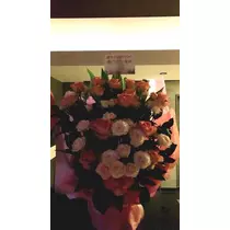 白石 愛莉