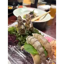 佐野 エマ