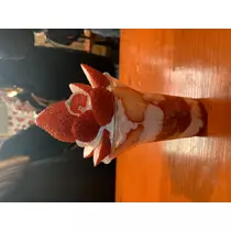 あみ