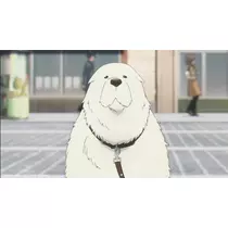 七瀬