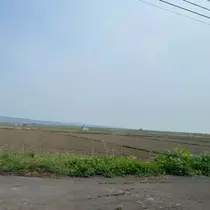 成海 まお