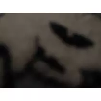 白石 愛莉