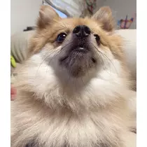 なお