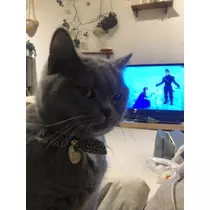 ユミ