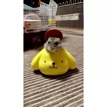 美波 なつ