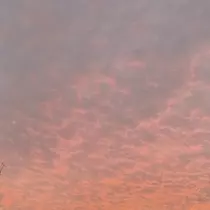 成海 まお