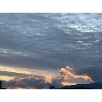 華宮 りんか