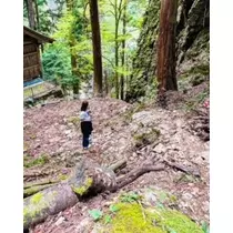 ゆかり