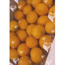 華宮 れい