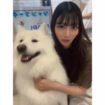 みれい