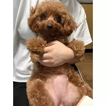 一ノ瀬 はづき