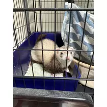 ボコボコりん