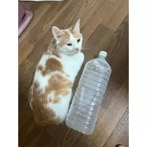 寒河江 春紀