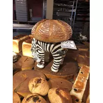 のあ