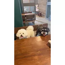 ミナミ