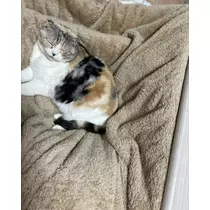 みつき