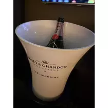 白石 愛莉