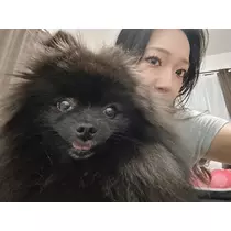 ヒカリ