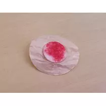 ひな