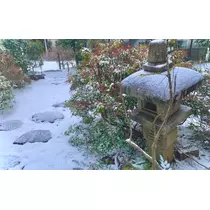 あん