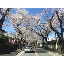 愛羽 仁美